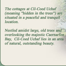 The Cottages at Cil-Coed Uchaf (meaning "hidden in the trees") are situated in a peaceful and tranquil location. Nestled amidst large, old trees and overlooking the majestic Caernarfon Bay, Cil-Coed Uchaf lies in an area of natural, outstanding beauty.